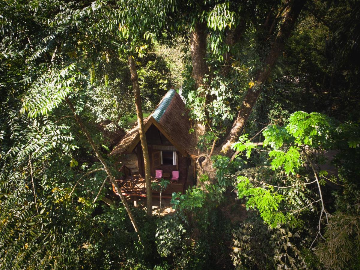 Our Jungle House Hotell Khao Sok National Park Eksteriør bilde