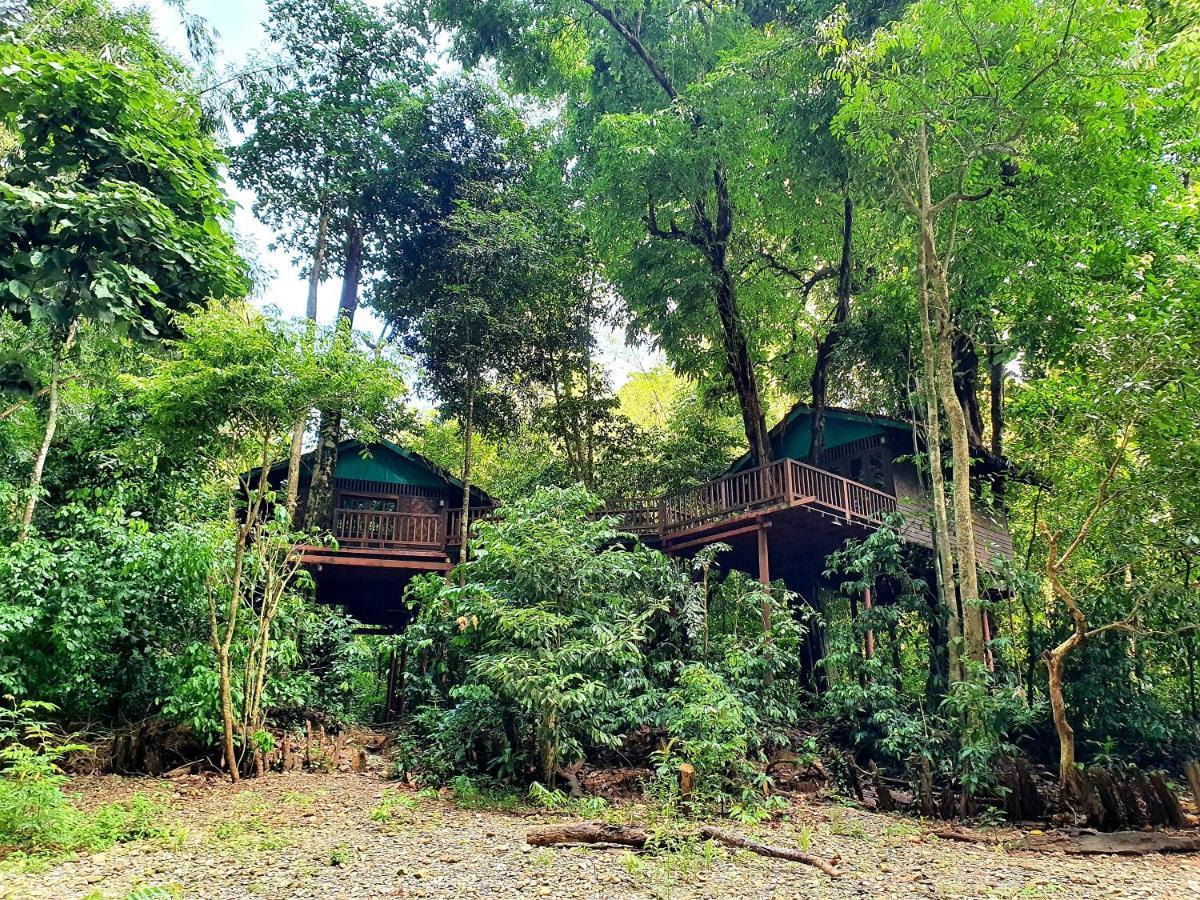 Our Jungle House Hotell Khao Sok National Park Eksteriør bilde