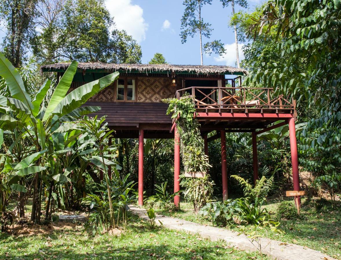 Our Jungle House Hotell Khao Sok National Park Eksteriør bilde